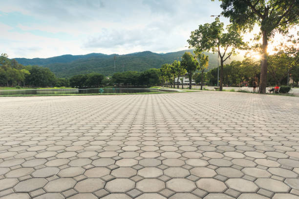 Best Local Driveway Pavers  in Solvay, NY